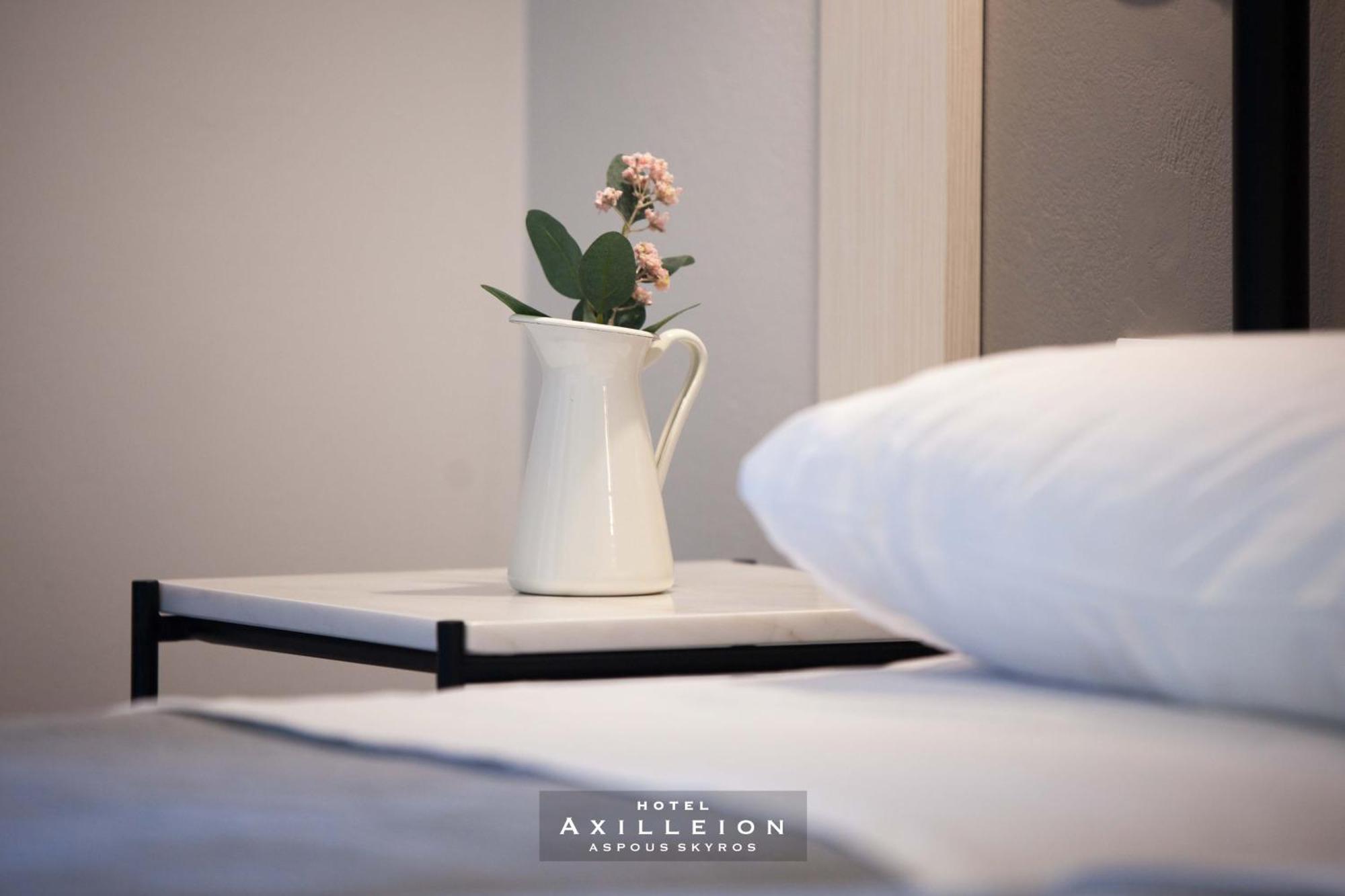 Achilleion Hotel Skyros Exteriér fotografie
