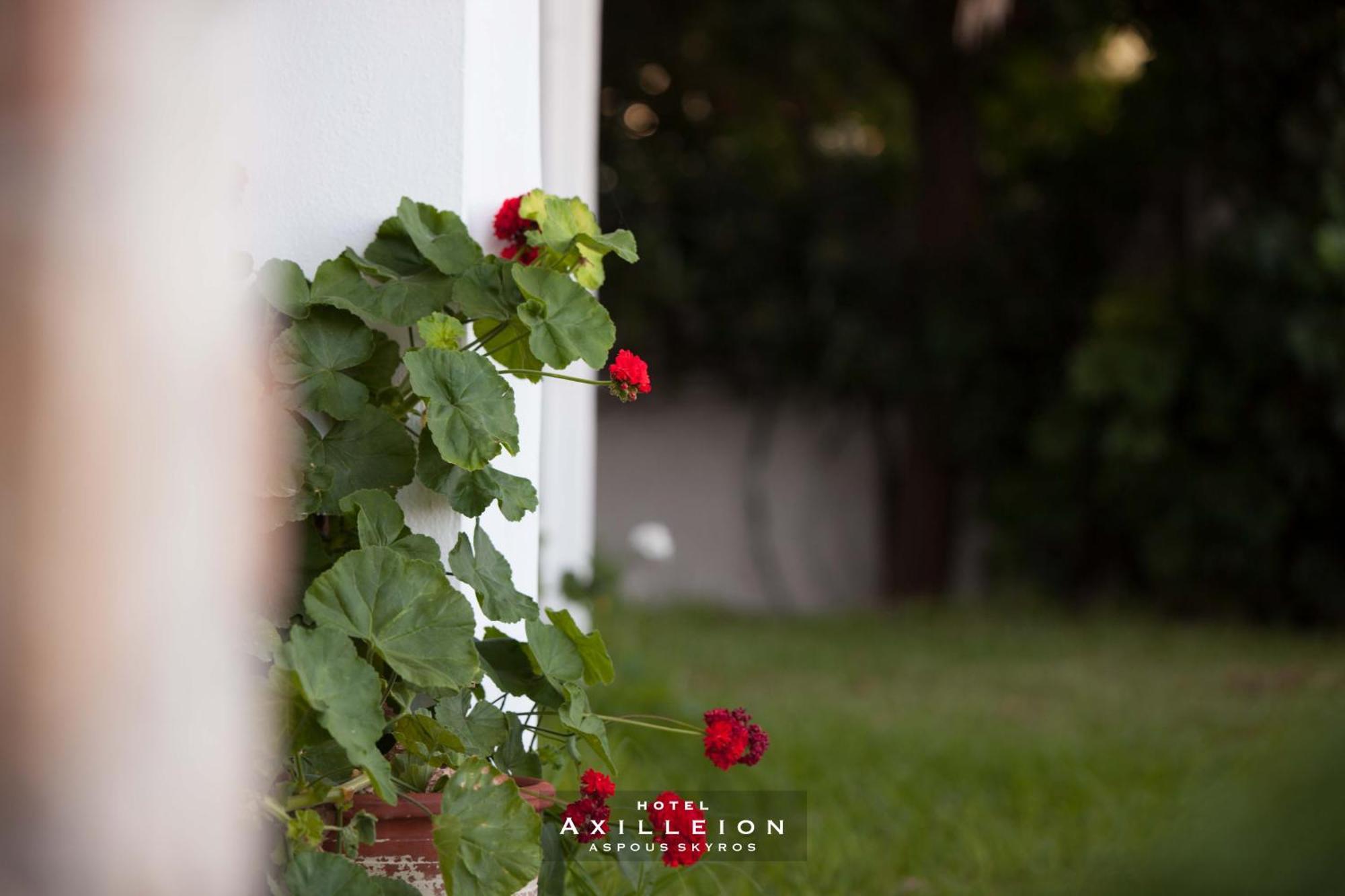 Achilleion Hotel Skyros Exteriér fotografie