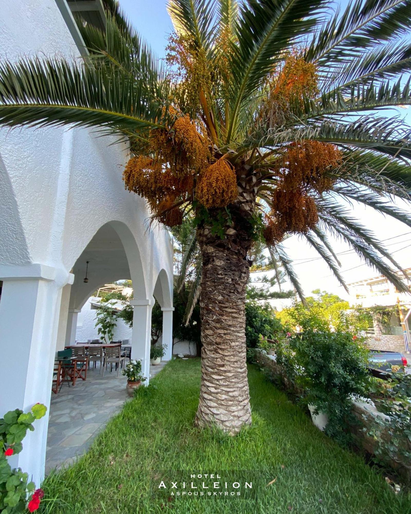 Achilleion Hotel Skyros Exteriér fotografie
